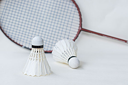 投向了徐昕 投向了徐昕