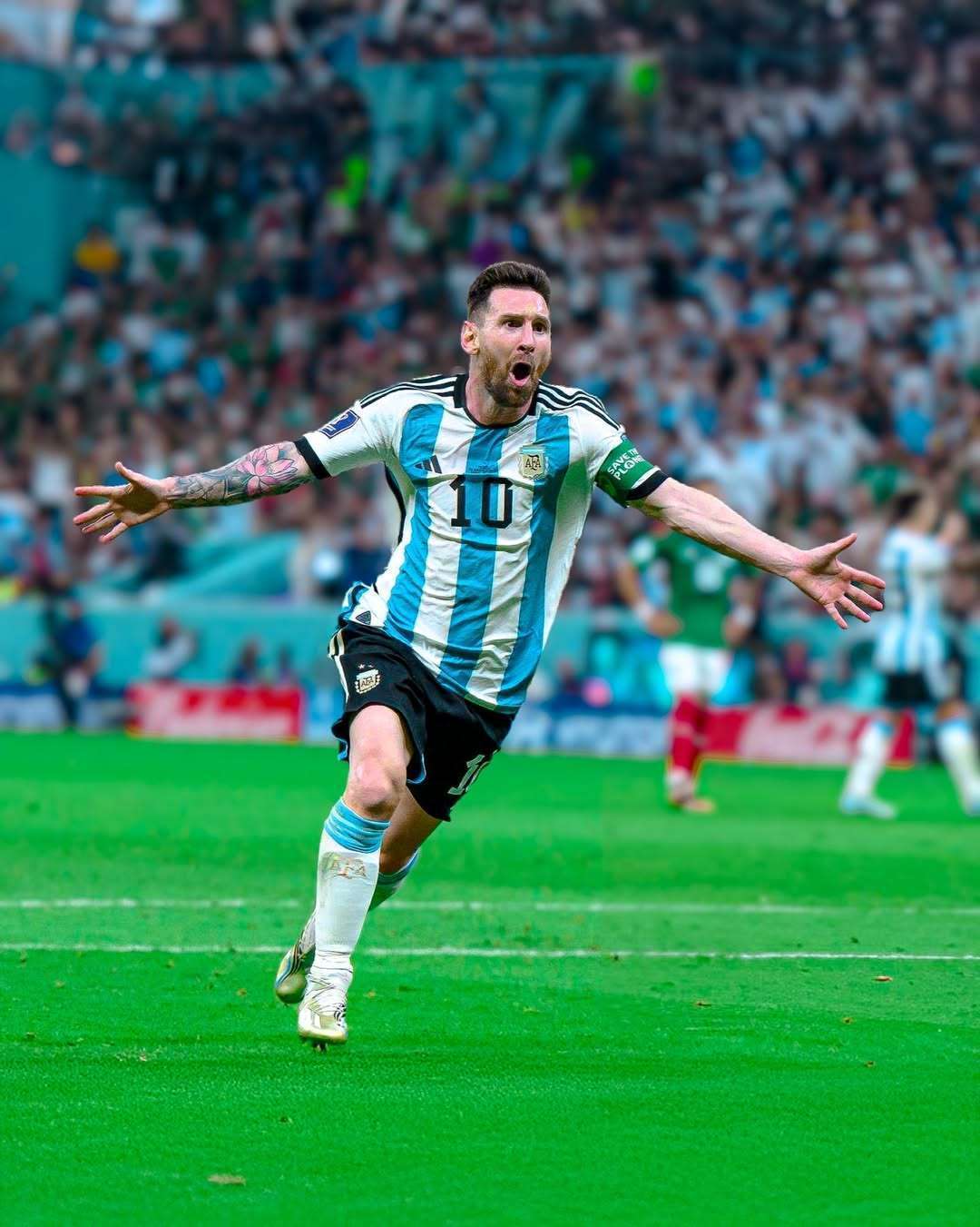 奠定了孟菲 奠定了孟菲